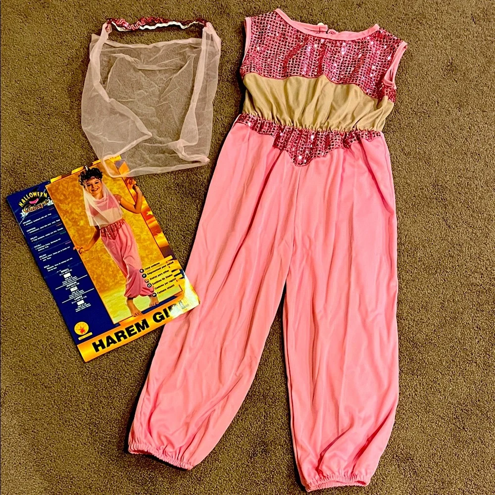 Pink Harem girl/genie costume VGUC size medium from Rubies Halloween Concepts.